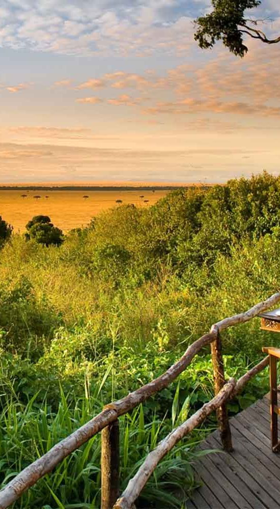 Hero - Filtered Results Listing